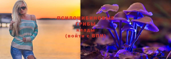 Альфа ПВП Гусев